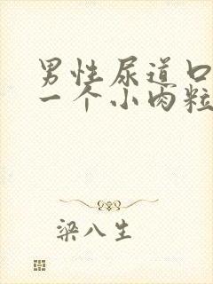 男性尿道口上有一个小肉粒