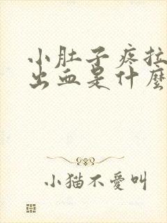 小肚子疼拉大便出血是什么原因