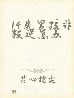 14岁男孩非常叛逆怎办