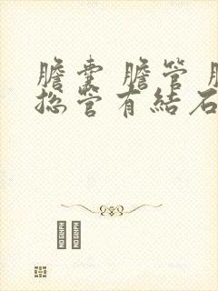 胆囊 胆管 胆总管有结石如何治疗方法