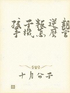 孩子叛逆期沉迷手机怎么管教最合适男孩