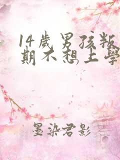 14岁男孩叛逆期不想上学怎么办