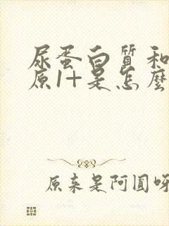 尿蛋白质和尿胆原1+是怎么回事