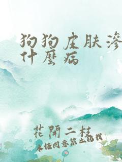 狗狗皮肤渗血是什么病