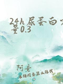 24h尿蛋白定量0.3