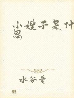 小嫂子是什么意思