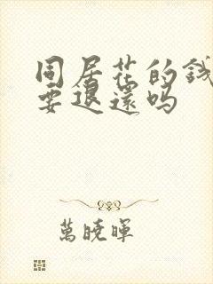 同居花的钱分手要退还吗