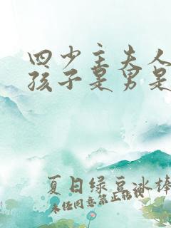 四少主夫人生的孩子是男是女