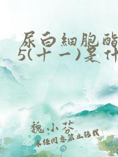 尿白细胞酯酶15(十一)是什么问题