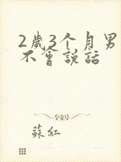 2岁3个月男孩不会说话