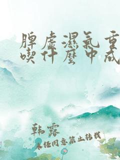 脾虚湿气重血虚吃什么中成药