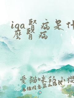 iga肾病是什么肾病