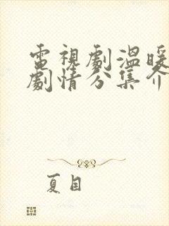 电视剧温暖的弦剧情分集介绍