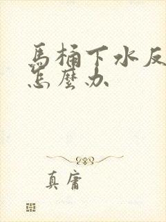 马桶下水反臭味怎么办