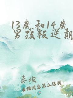 13岁和14岁男孩叛逆期怎么办