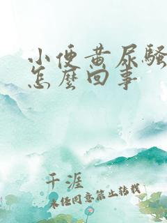 小便黄尿骚味重怎么回事