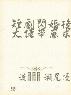 短剧闪婚后禁欲大佬带崽求名分