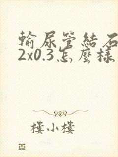 输尿管结石0.2x0.3怎么样排出