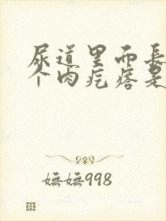 尿道里面长了一个肉疙瘩是什么