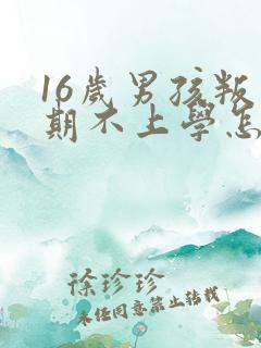 16岁男孩叛逆期不上学怎么办