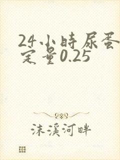 24小时尿蛋白定量0.25