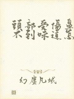 头部受伤鼻子闻不到味道怎么回事