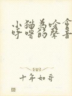 小猫为啥会发出呼噜的声音