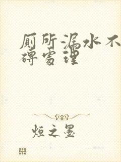 厕所漏水不砸地砖处理