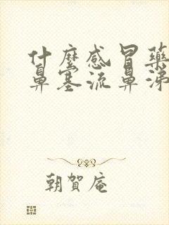 什么感冒药治疗鼻塞流鼻涕效果好