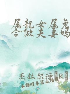 属龙女属兔男适合做夫妻吗