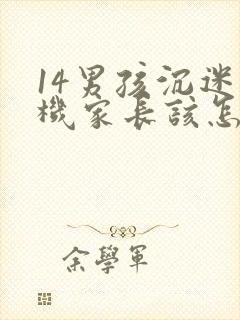 14男孩沉迷手机家长该怎样引导