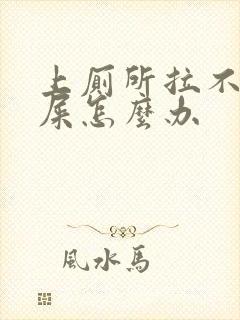 上厕所拉不出来屎怎么办