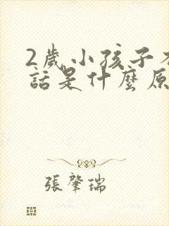 2岁小孩子不说话是什么原因