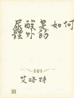 尿酸是如何排出体外的