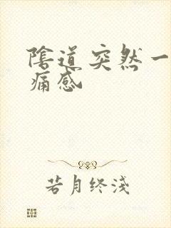 阴道突然一阵刺痛感