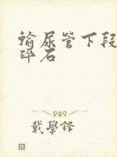 输尿管下段体外碎石