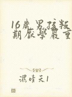 16岁男孩叛逆期厌学严重怎么办