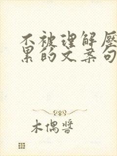 不被理解压抑心累的文案句子