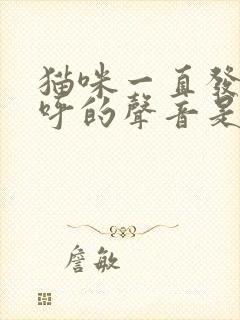 猫咪一直发出呼呼的声音是怎么回事