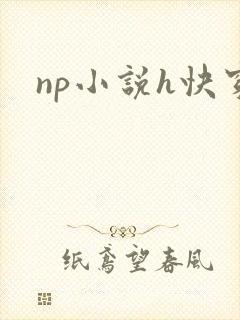 np小说h快穿
