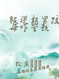 叛逆期男孩子父母咋管教