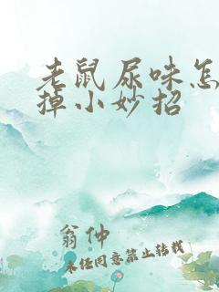 老鼠尿味怎么除掉小妙招