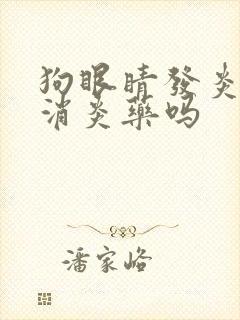 狗眼睛发炎能吃消炎药吗