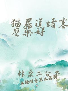 猫尿道堵塞吃什么药好