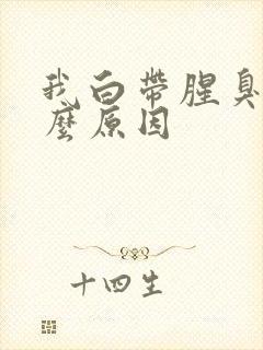 我白带腥臭是什么原因