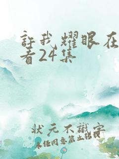 许我耀眼在线观看24集