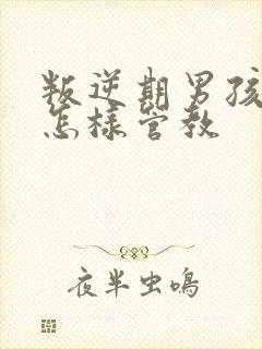 叛逆期男孩儿该怎样管教