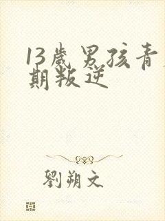 13岁男孩青春期叛逆