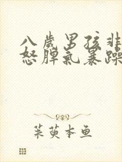 八岁男孩非常易怒脾气暴躁怎么办