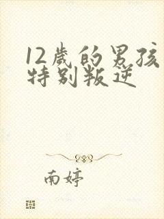 12岁的男孩子特别叛逆